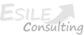 Esile Consulting